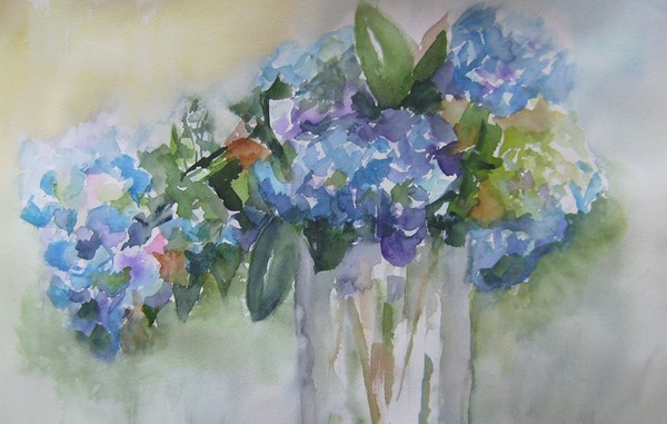 hydrangeas 2008
