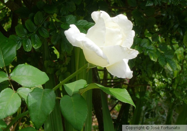 Happy weekend