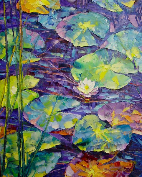 Water Lily