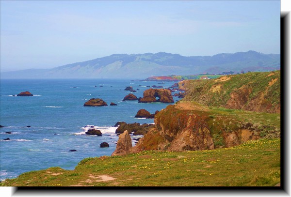 Sonoma Coast