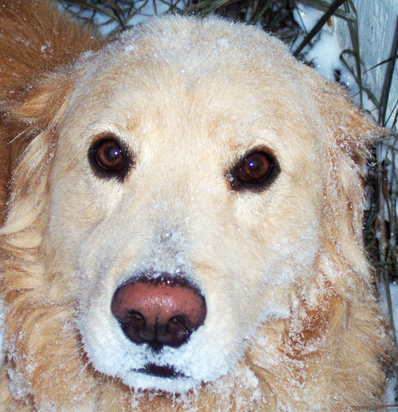 Baby, It's Cold Outside