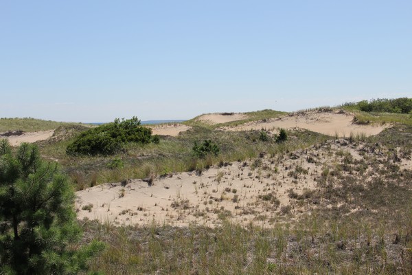 Sand dunes at Parker River