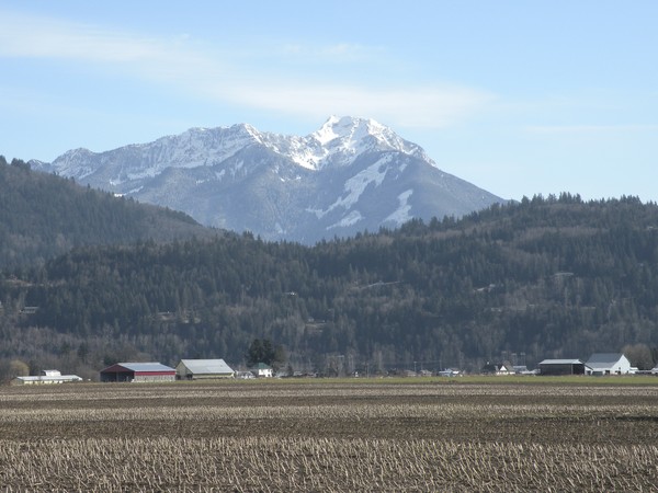 Fallow Fields