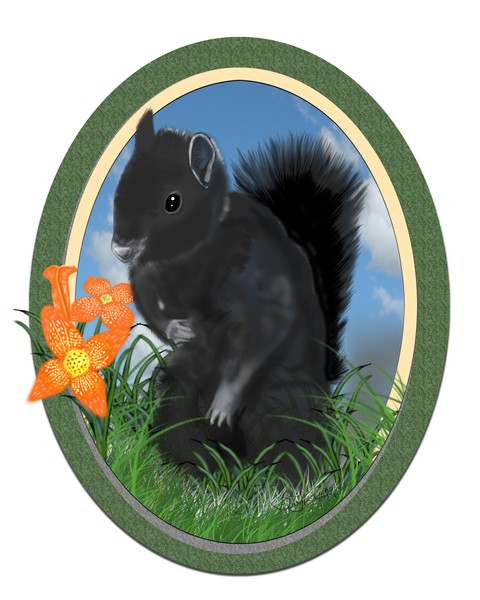 black squirrel