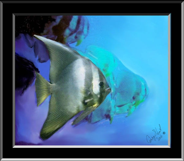 Mysteries of the sea