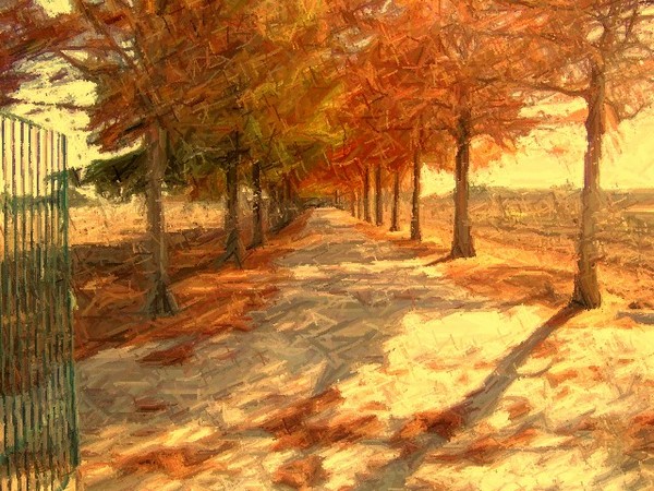 Vineyard at Fall Creek