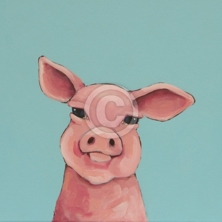 Baby Pig