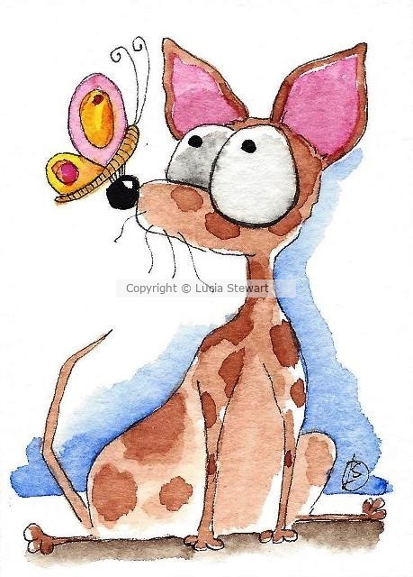 Brown chihuahua and Butterfly