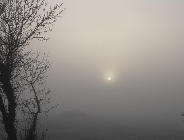 Sun Peeping Through
