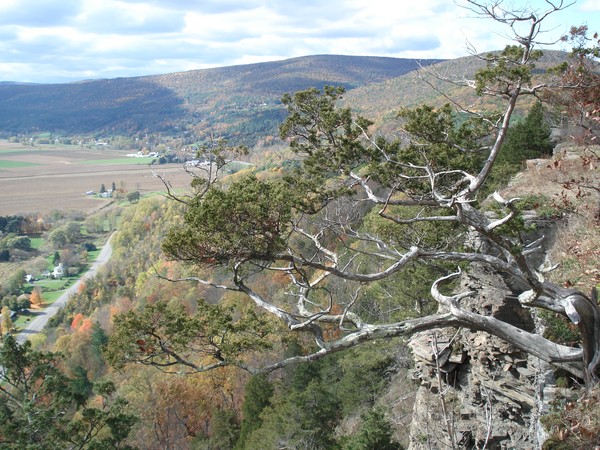 From On High