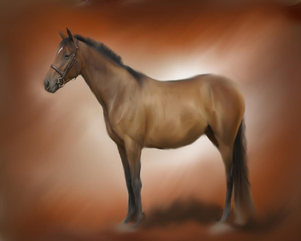 Horse