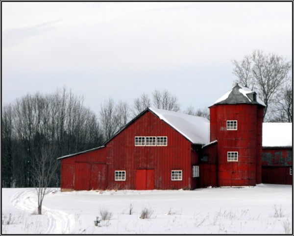 Red Barn And Winter