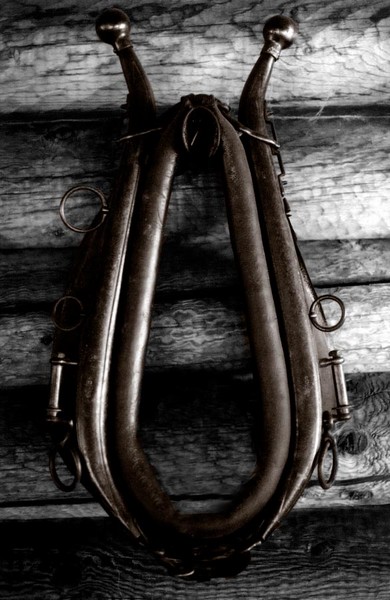harness