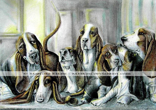 Seven Basset Hounds