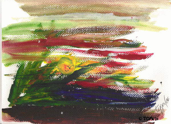 Hurricane