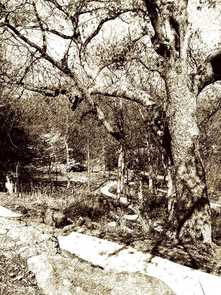 Gilcrease