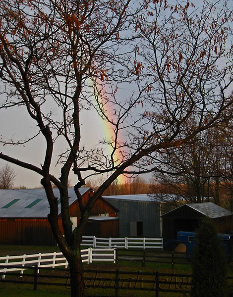 Nov. 09 Rainbow???