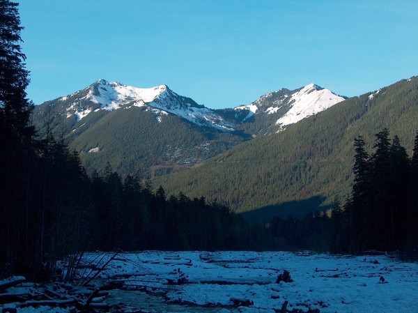 Sunny Winter Day