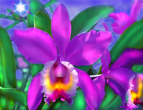 ORCHIDS FOR THE MEKONG DELTA
