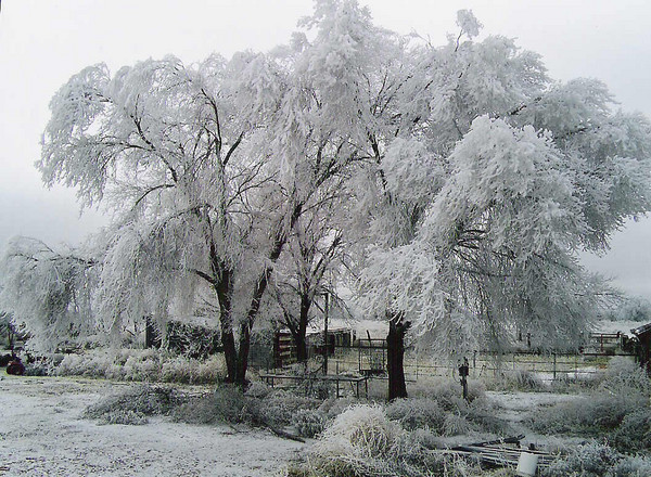 After the Storm II