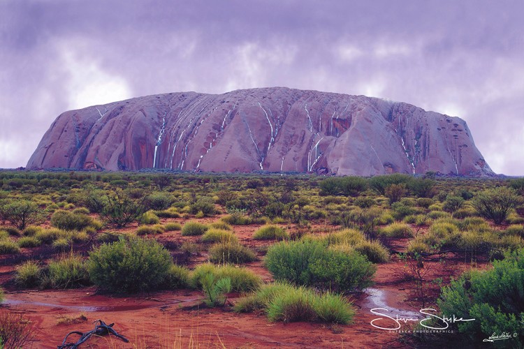 Desert Storm