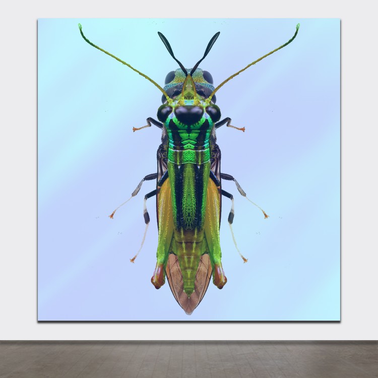 Re: BRITISH ARTIST: ANDREW CAMPBELL: ART STUDIO PROTOTYPES: NETSCAPES: #33
