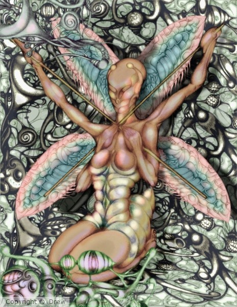 Queen Bee