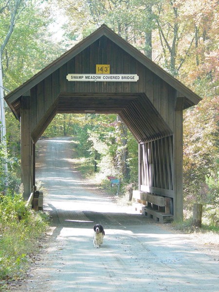 Swamp Meadow Bridge