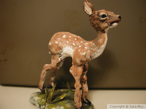 Deer