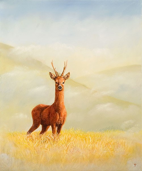 Morning Deer