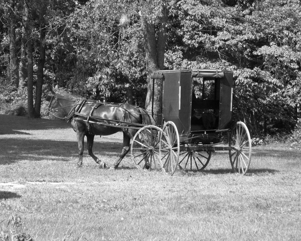 Amish Country