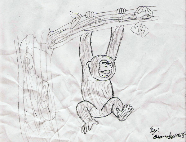 Monkey