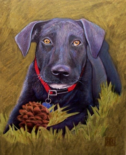 The Faithful Companion