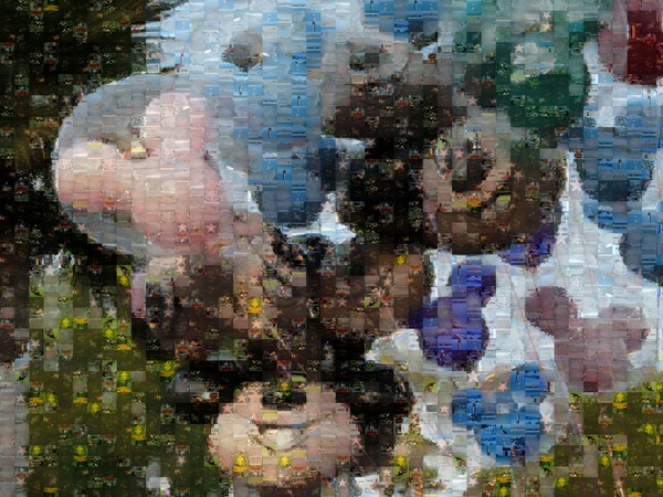 Mosaic of Balloons (EXAMPLE)