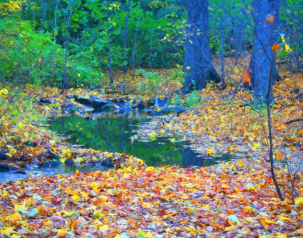 By the Brook