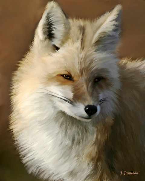 The Fox