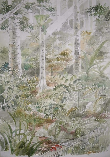 Rainforest