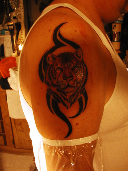 tribal tiger