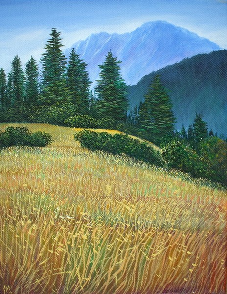 Yosemite Foothills