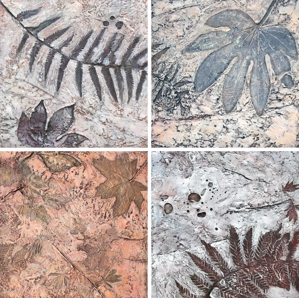 Flora Fossil 5,6,7 & 8
