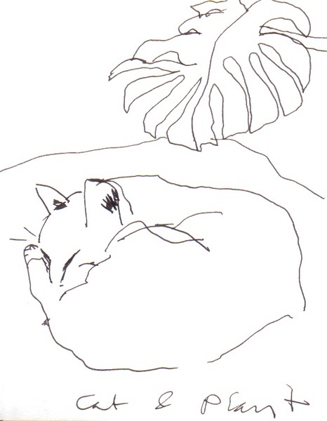 cat and plant