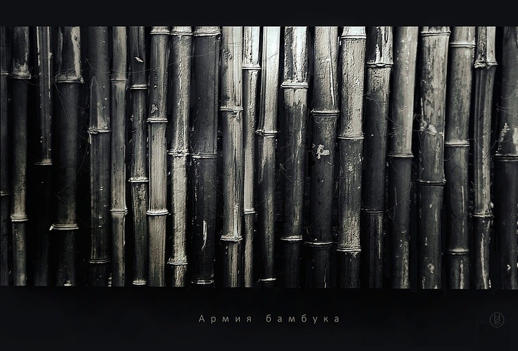 Army of Bamboo