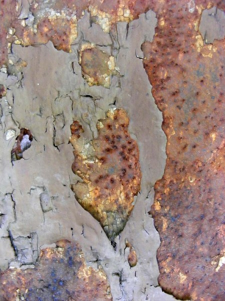 Rust 3