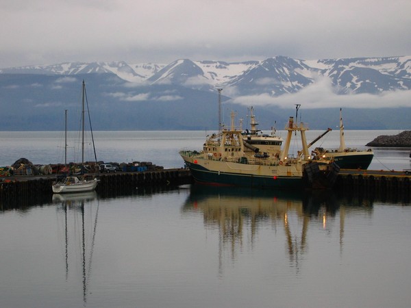 small harbour in the late afternoon