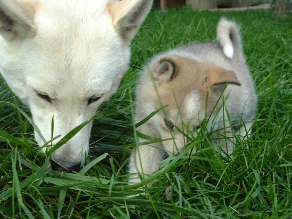 Father and daughter