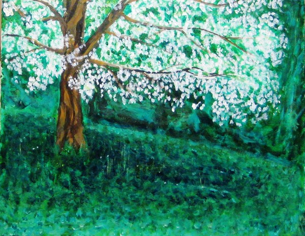 Spring