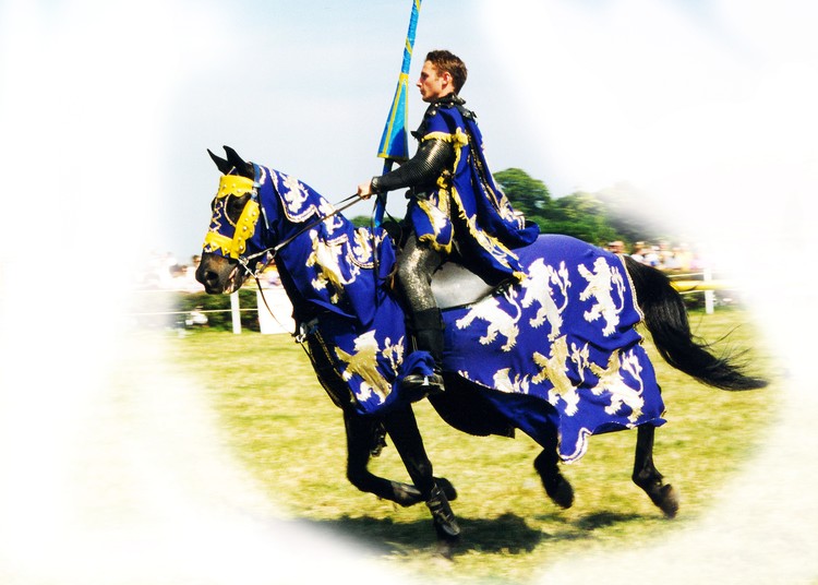 Knight 