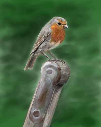 European Robin by davincipoppalag