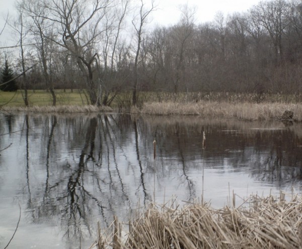 ice pond