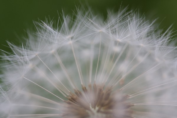 softly